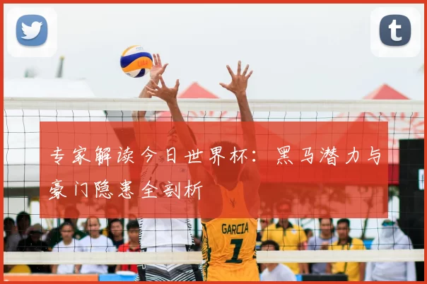 专家解读今日世界杯:黑马潜力与豪门隐患全剖析