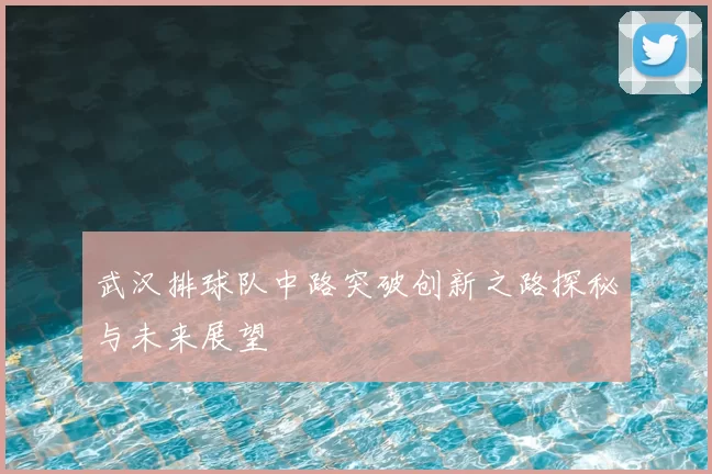 武汉排球队中路突破创新之路探秘与未来展望