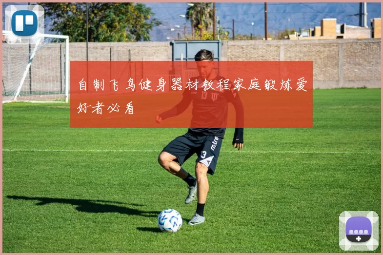 自制飞鸟健身器材教程家庭锻炼爱好者必看