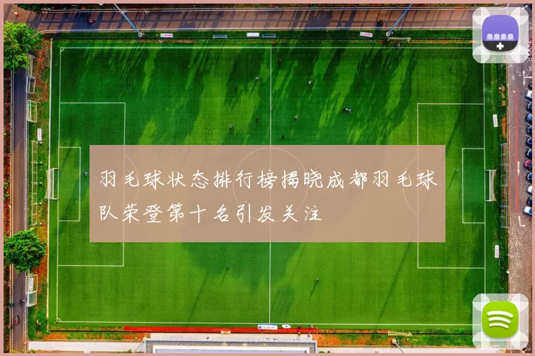 羽毛球状态排行榜揭晓成都羽毛球队荣登第十名引发关注