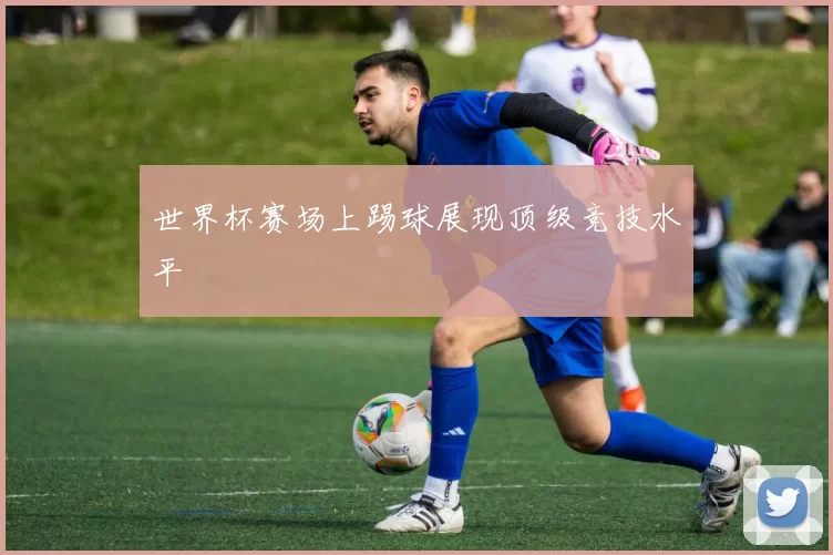 世界杯赛场上踢球展现顶级竞技水平