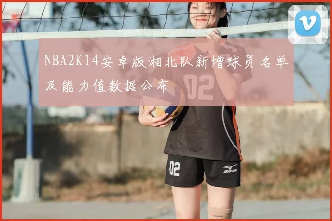 NBA2K14安卓版湘北队新增球员名单及能力值数据公布