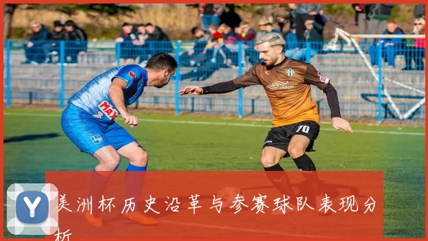 美洲杯历史沿革与参赛球队表现分析