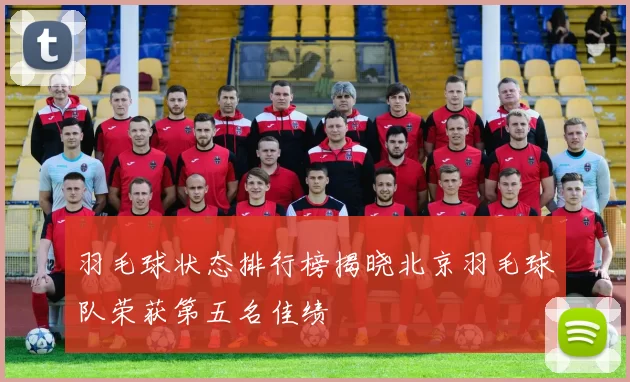 羽毛球状态排行榜揭晓北京羽毛球队荣获第五名佳绩