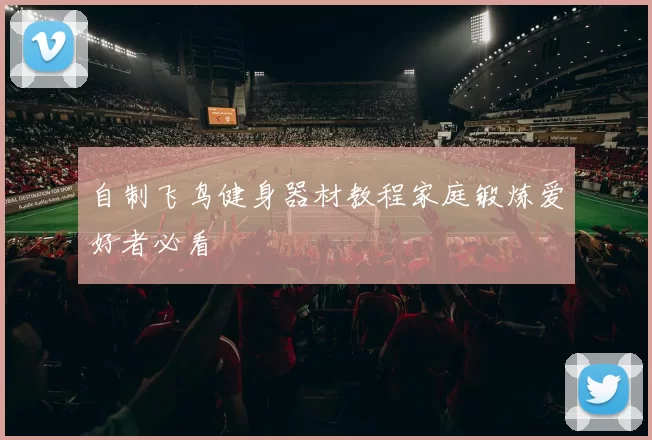 自制飞鸟健身器材教程家庭锻炼爱好者必看