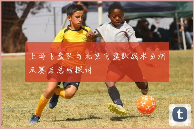 上海飞盘队与北京飞盘队战术分析及赛后总结探讨