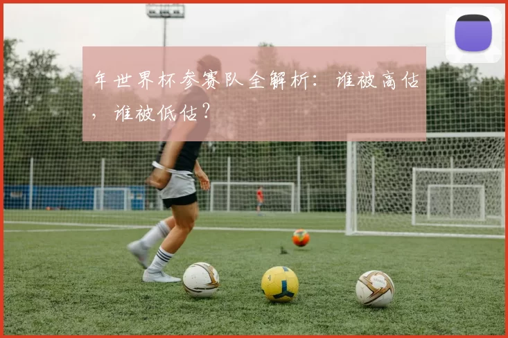 年世界杯参赛队全解析:谁被高估,谁被低估?